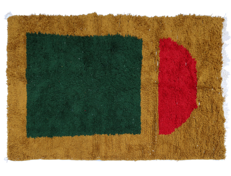 Grand tapis berbère Azilal moderne rouge et vert marron