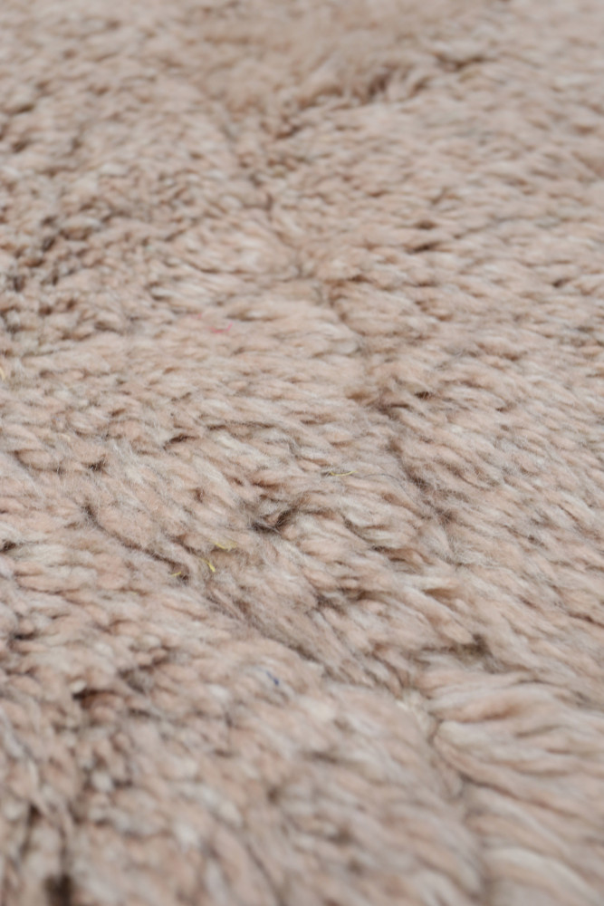 Tapis berbère au style chaleureux, aux couleurs douces, avec des motifs texturés et un aspect naturel.