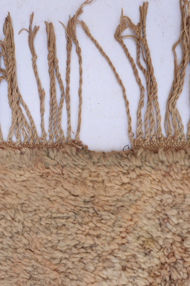 Tapis berbère au style naturel, aux teintes beige et crème, orné de motifs texturés et franges délicates.