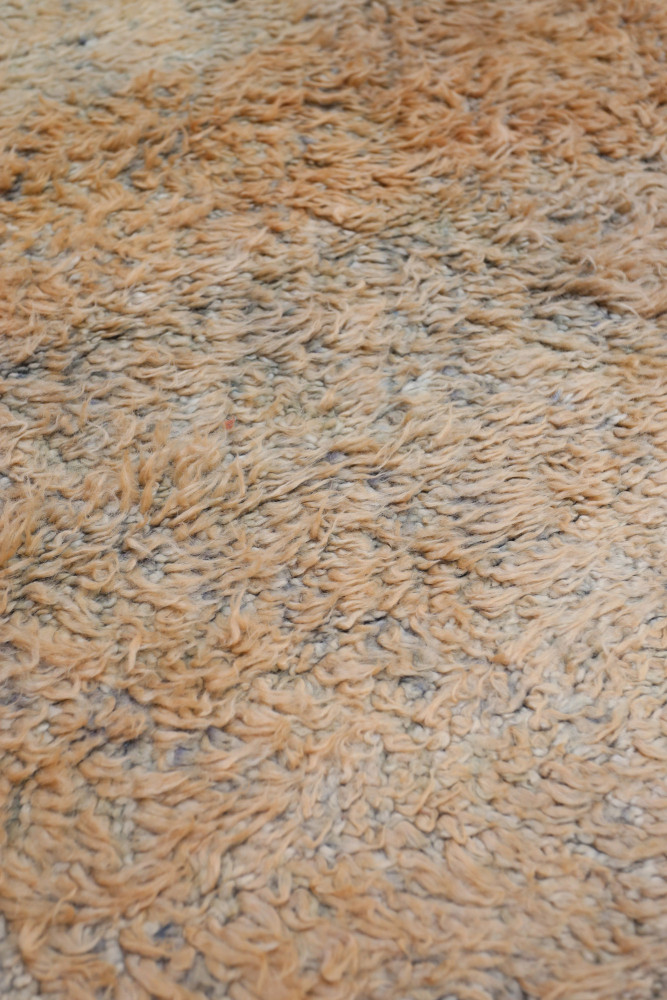 Tapis berbère aux nuances chaudes, de style moderne avec un motif doux et texturé en tons beige et orange.