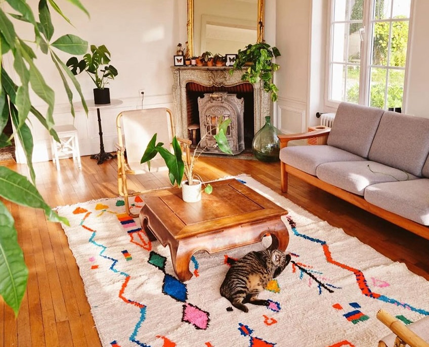 Tapis berb&egrave;res adapt&eacute;s pour les animaux